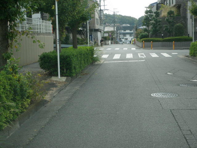 座間リリエンハイム向